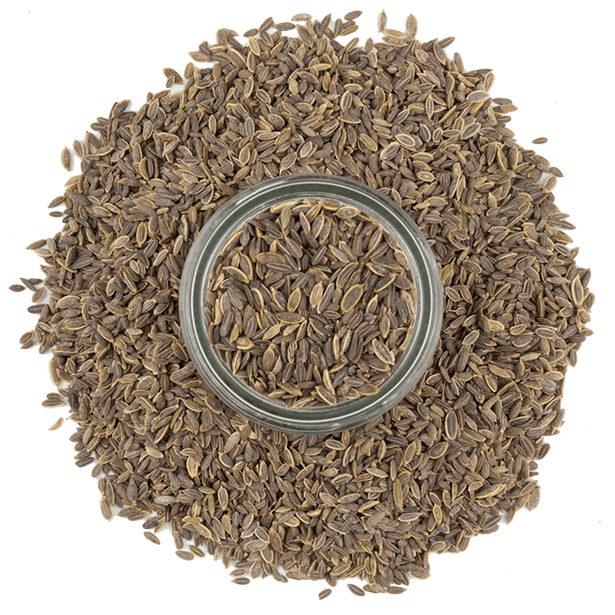 Anise Seed 3.1 oz