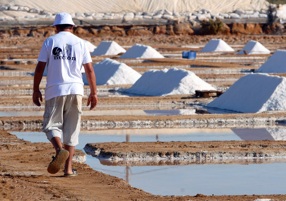 What is Portuguese Saltcream?