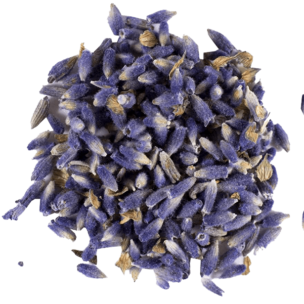 Lavender Flower Bud Dried Herb – Alywillow